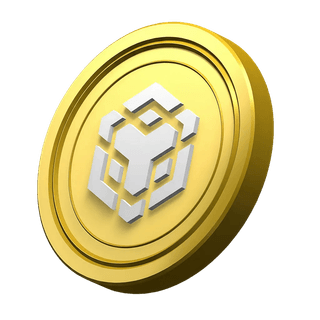 Sección informativa de la plataforma con moneda BNB decorativa